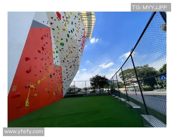 广州攀岩队的拼搏故事与极限运动嘉年华的精彩瞬间