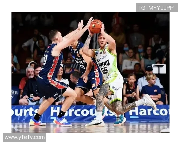 成都篮球队总决赛表现分析与状态评估全面解读 成都篮球队总决赛表现分析与状态评估全面解读