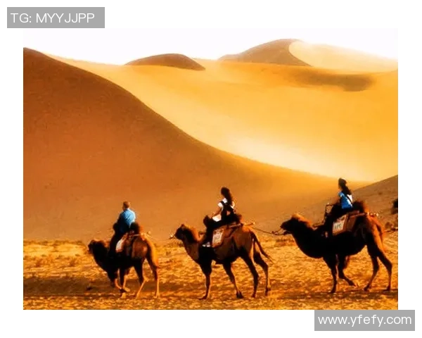 可兰白克的传奇人生与音乐之路探索